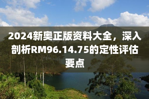2024新奥正版资料大全，深入剖析RM96.14.75的定性评估要点