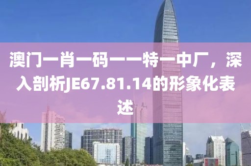 澳门一肖一码一一特一中厂，深入剖析JE67.81.14的形象化表述
