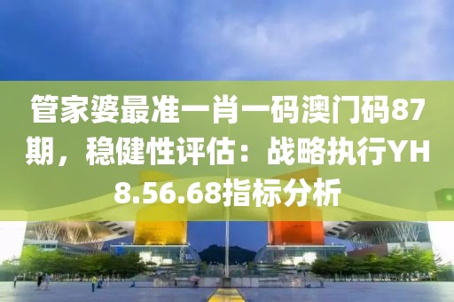 管家婆最准一肖一码澳门码87期，稳健性评估：战略执行YH8.56.68指标分析