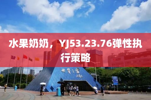 水果奶奶，YJ53.23.76弹性执行策略