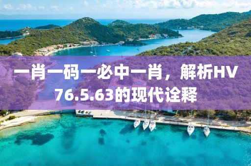 一肖一码一必中一肖，解析HV76.5.63的现代诠释