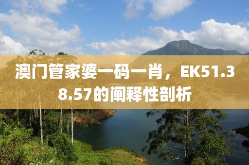 澳门管家婆一码一肖，EK51.38.57的阐释性剖析