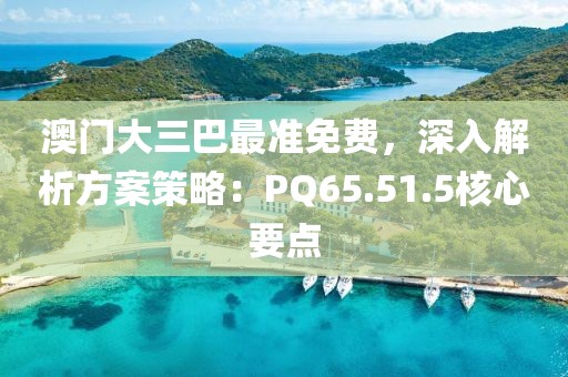 澳门大三巴最准免费，深入解析方案策略：PQ65.51.5核心要点