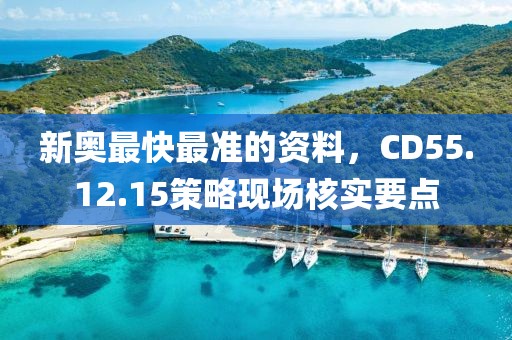 新奥最快最准的资料，CD55.12.15策略现场核实要点