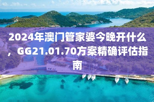 2024年澳门管家婆今晚开什么，GG21.01.70方案精确评估指南