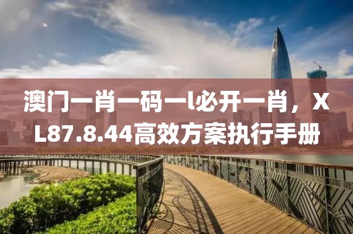 澳门一肖一码一l必开一肖，XL87.8.44高效方案执行手册
