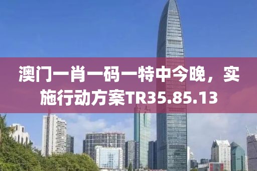 澳门一肖一码一特中今晚，实施行动方案TR35.85.13