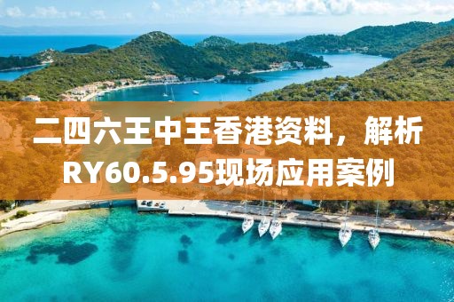 二四六王中王香港资料，解析RY60.5.95现场应用案例