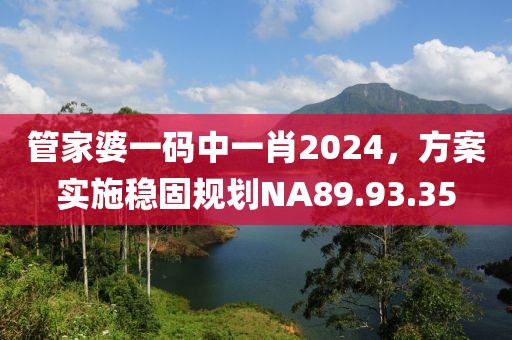 管家婆一码中一肖2024，方案实施稳固规划NA89.93.35