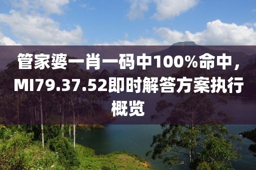 管家婆一肖一码中100%命中，MI79.37.52即时解答方案执行概览