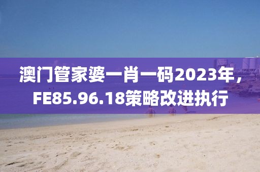 澳门管家婆一肖一码2023年，FE85.96.18策略改进执行