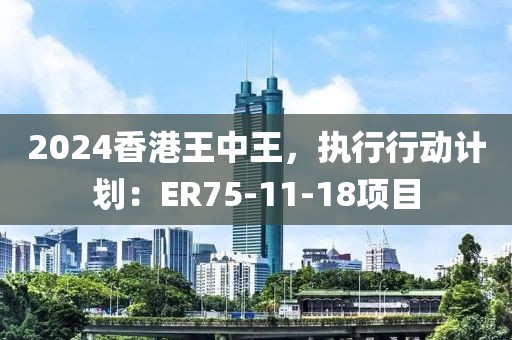2024香港王中王，执行行动计划：ER75-11-18项目