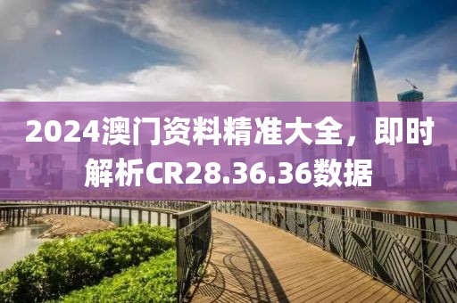 2024澳门资料精准大全，即时解析CR28.36.36数据