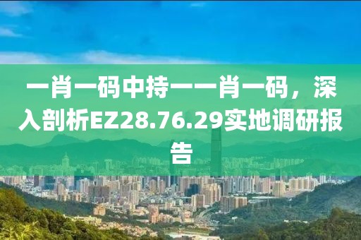 一肖一码中持一一肖一码，深入剖析EZ28.76.29实地调研报告