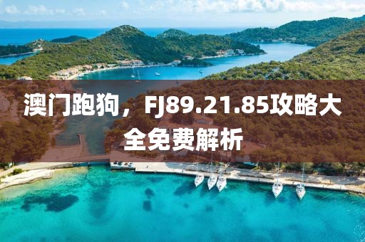 澳门跑狗，FJ89.21.85攻略大全免费解析