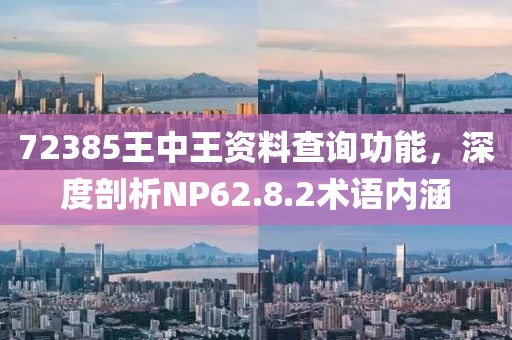 72385王中王资料查询功能，深度剖析NP62.8.2术语内涵
