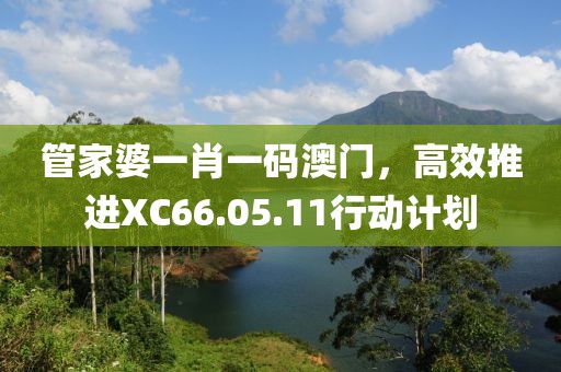 管家婆一肖一码澳门，高效推进XC66.05.11行动计划