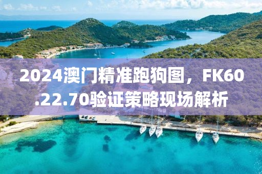 2024澳门精准跑狗图，FK60.22.70验证策略现场解析