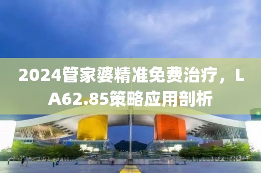 2024管家婆精准免费治疗，LA62.85策略应用剖析