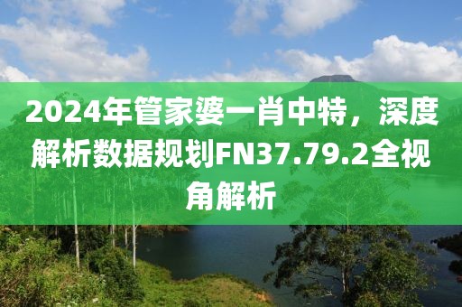 2024年管家婆一肖中特，深度解析数据规划FN37.79.2全视角解析