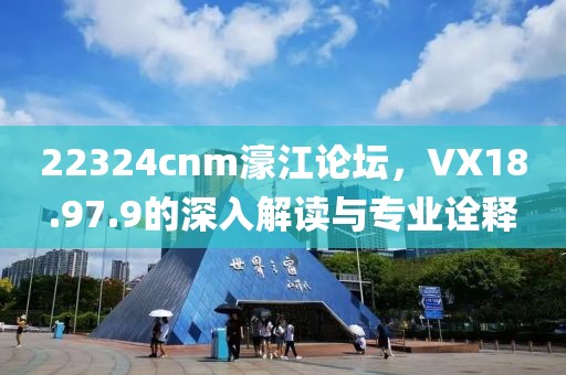 22324cnm濠江论坛，VX18.97.9的深入解读与专业诠释