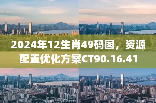 2024年12生肖49码图,资源配置优化方案CT90.16.41