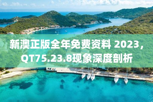 新澳正版全年免费资料 2023，QT75.23.8现象深度剖析