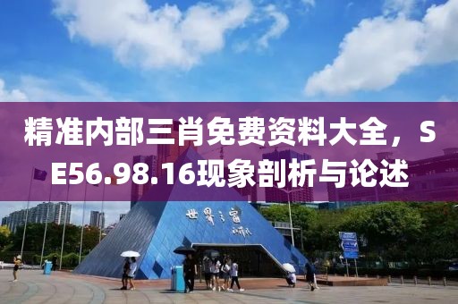精准内部三肖免费资料大全，SE56.98.16现象剖析与论述