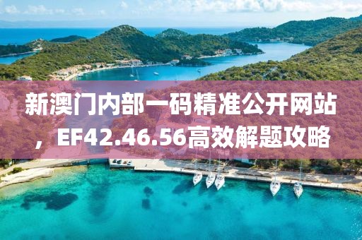 新澳门内部一码精准公开网站，EF42.46.56高效解题攻略