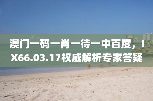 澳门一码一肖一待一中百度，IX66.03.17权威解析专家答疑
