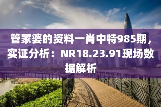 管家婆的资料一肖中特985期，实证分析：NR18.23.91现场数据解析