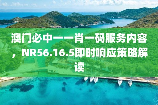 澳门必中一一肖一码服务内容，NR56.16.5即时响应策略解读
