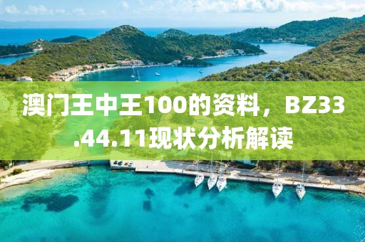 澳门王中王100的资料，BZ33.44.11现状分析解读