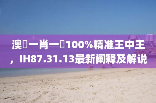 澳門一肖一碼100%精准王中王，IH87.31.13最新阐释及解说