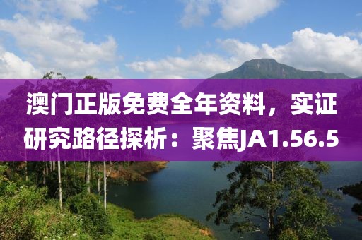 澳门正版免费全年资料，实证研究路径探析：聚焦JA1.56.50