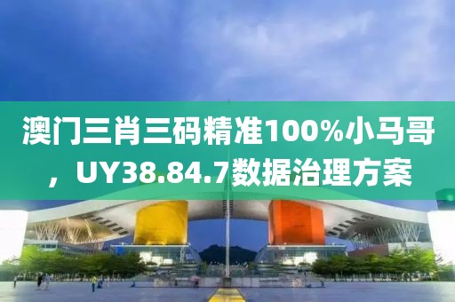 澳门三肖三码精准100%小马哥，UY38.84.7数据治理方案