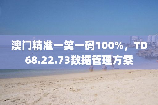 澳门精准一笑一码100%，TD68.22.73数据管理方案