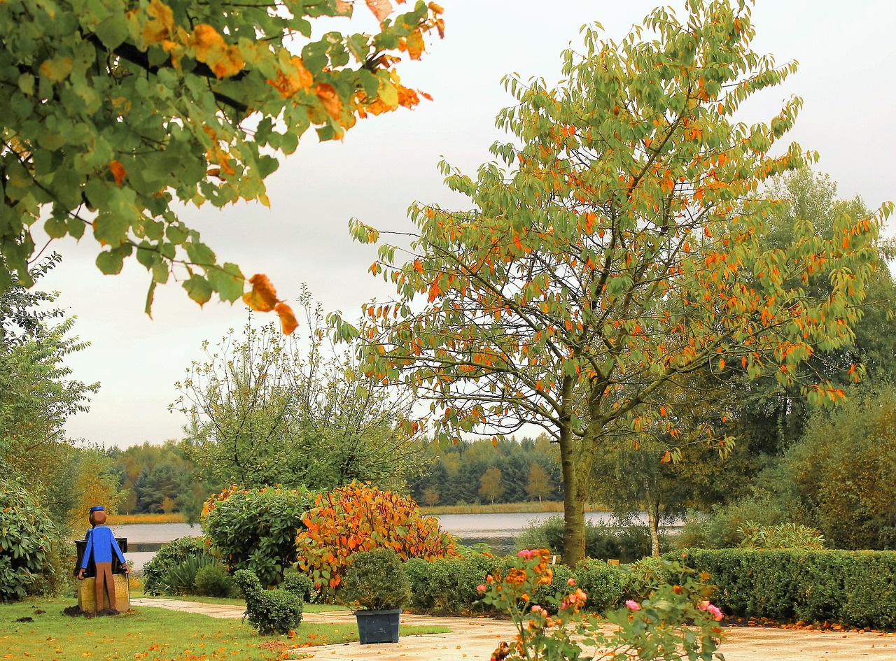 荷花社区最新动态,了解变迁与最新资讯