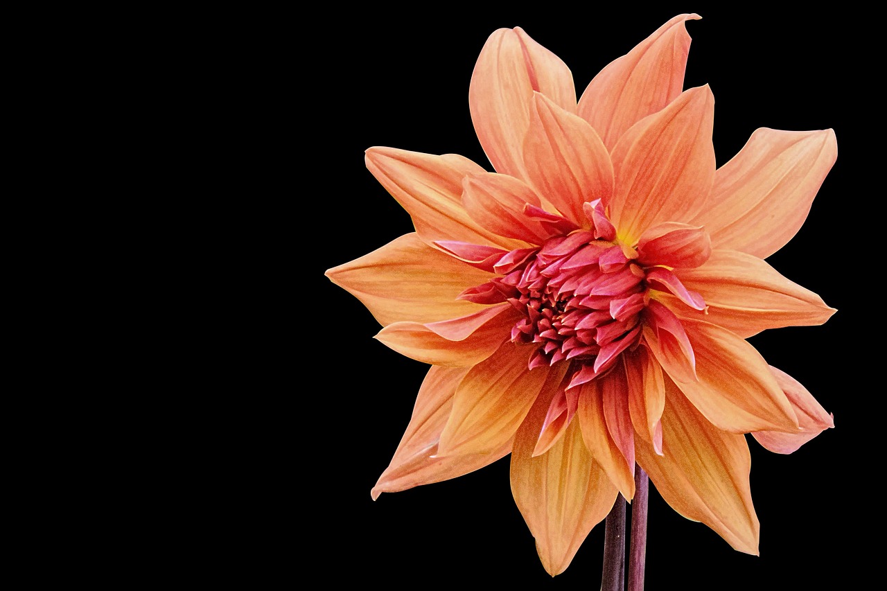 潍坊工厂最新动态与创新发展展望,揭秘未来趋势与机遇