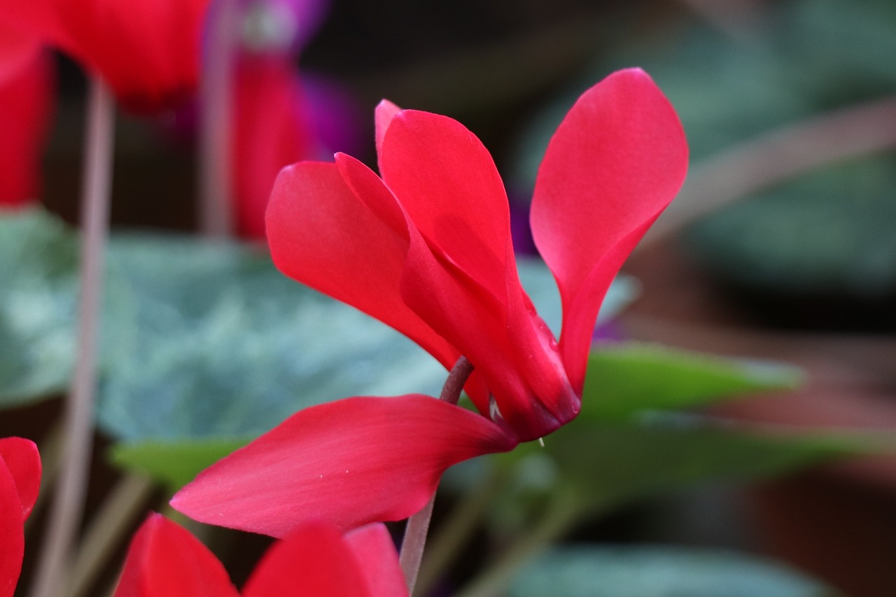 探索未知领域的边界与挑战,邪事儿最新动态速递