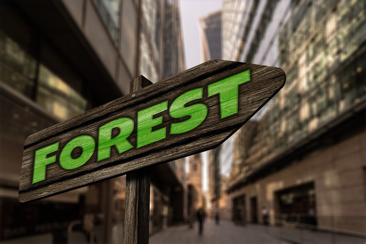 广东返工新趋势,探索与机遇的挑战之路