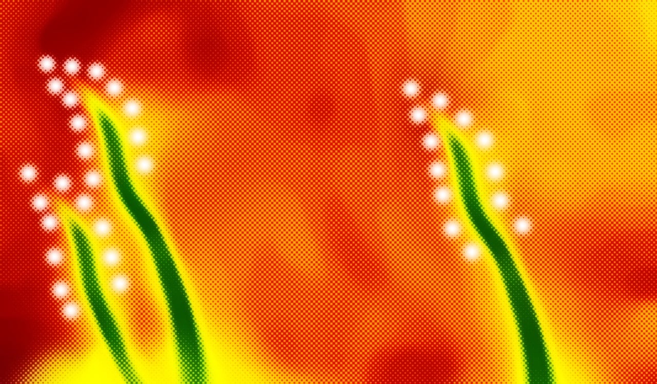 关于我们 第846页