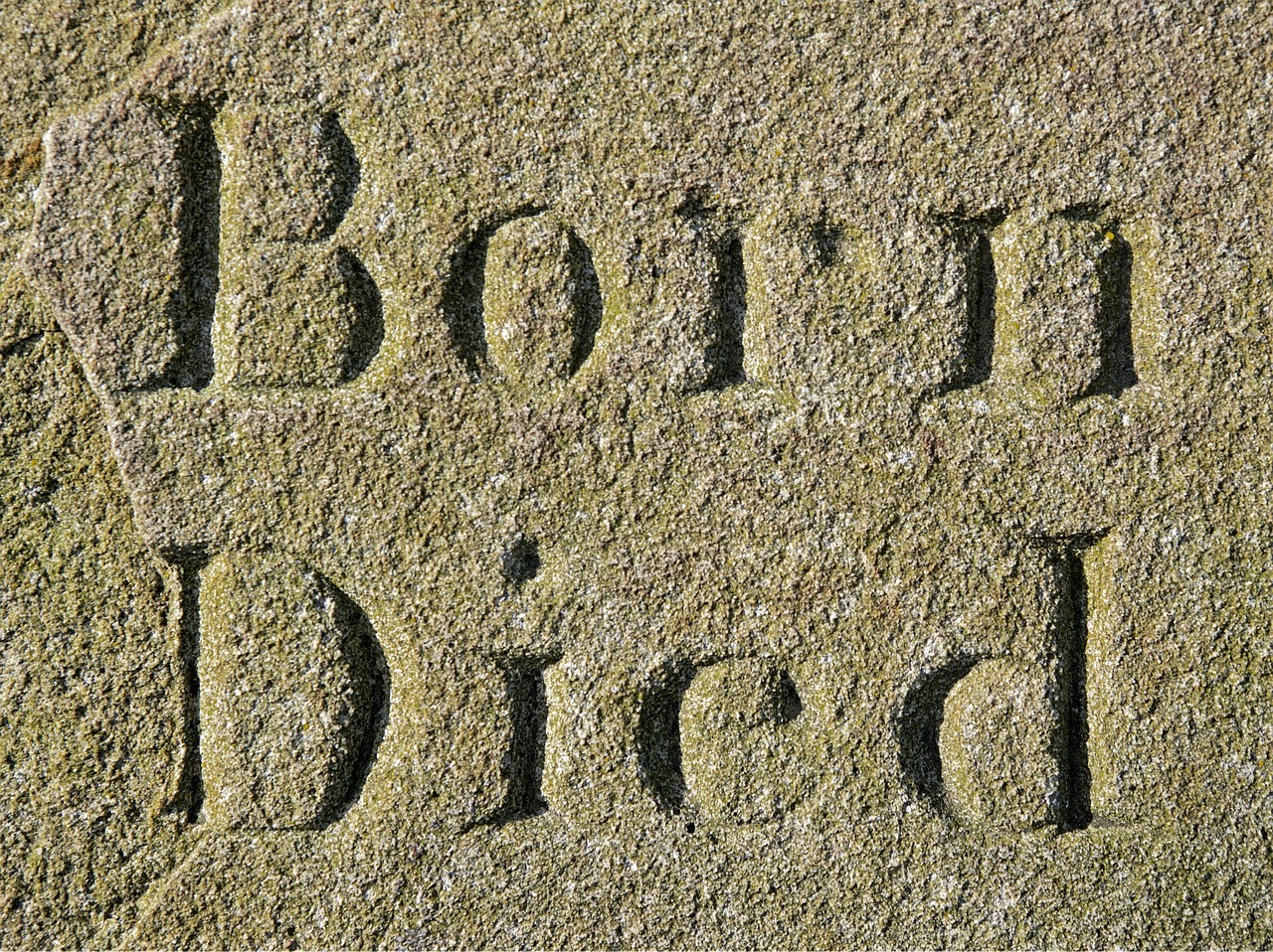 疯马山最新动态，自然美景与现代发展的和谐共舞