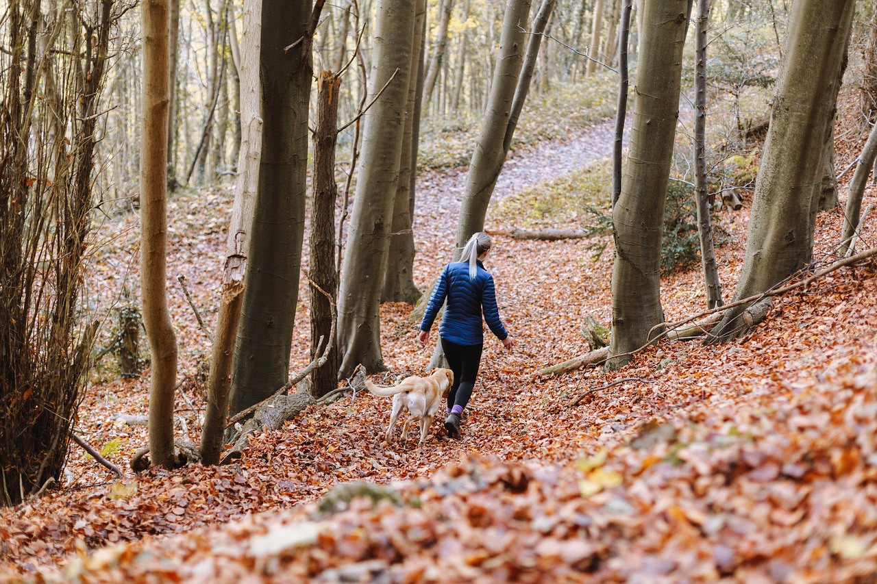 2024今晚澳门开什么号码,动态数据分析_nShop47.23.85