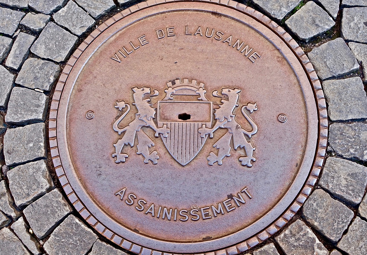 2024新澳门天天开好彩大全孔的五伏，详尽解析说明_并行模式2542.4736