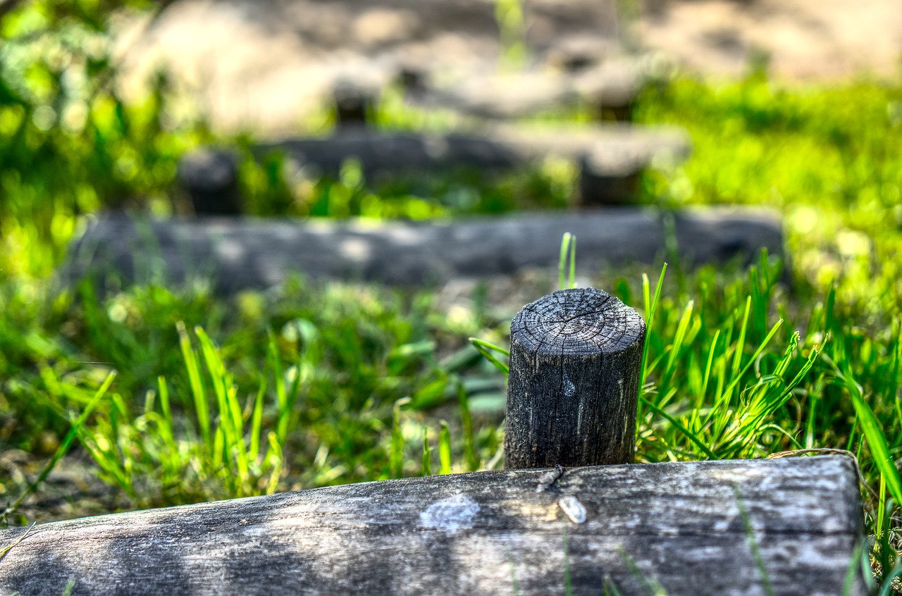 付豪最新动态,探索新星崛起的轨迹