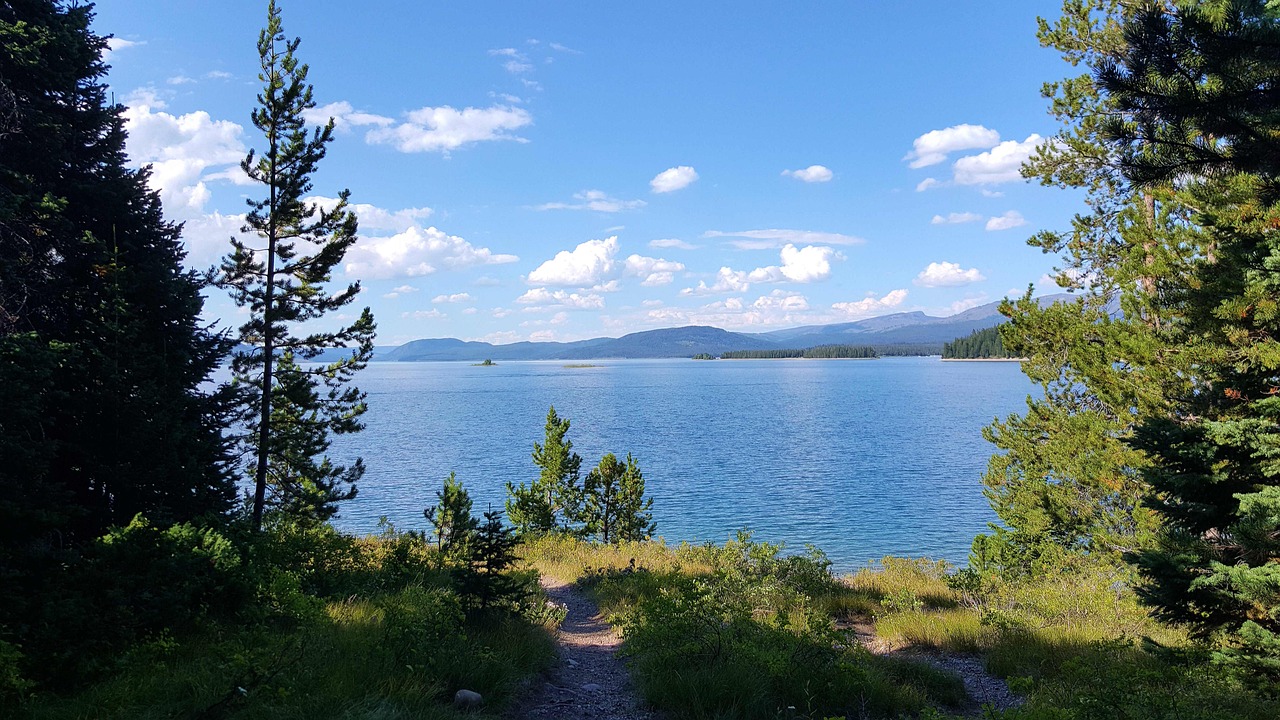 无罪国度的最新探索与挑战，前沿动态与面临的挑战