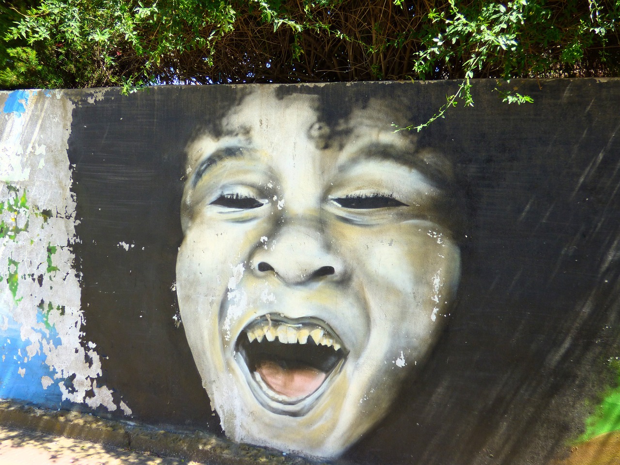 飙车党最新动态,速度与激情的重燃时刻