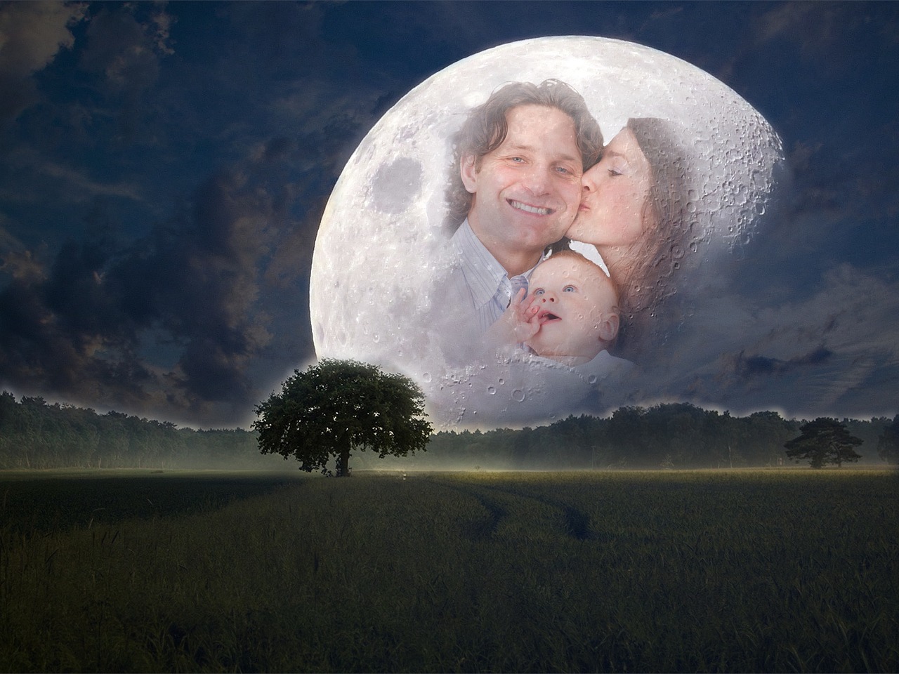 探索电影世界的无限魅力，最新电影大盘点