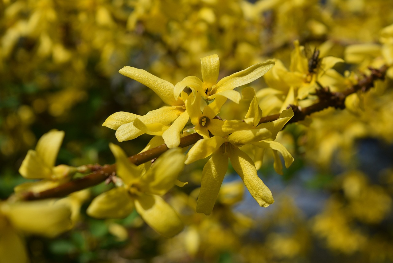 王韵婵最新动态，璀璨星途展现无限可能